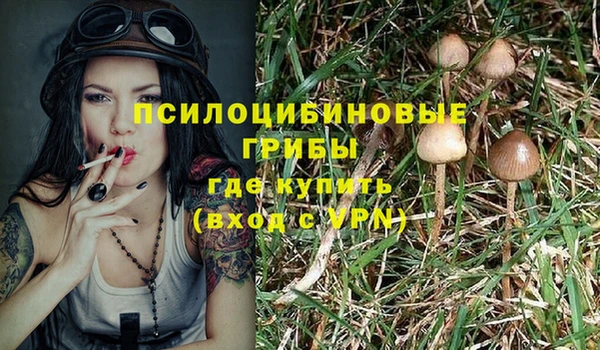 кристаллы Алзамай