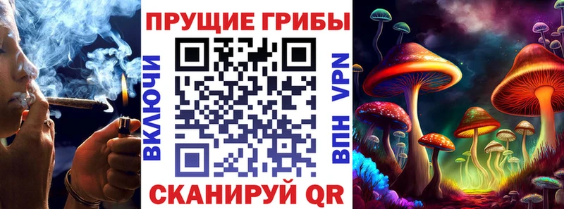 купить наркоту Бирюч Галлюциногенные грибы Magic Shrooms